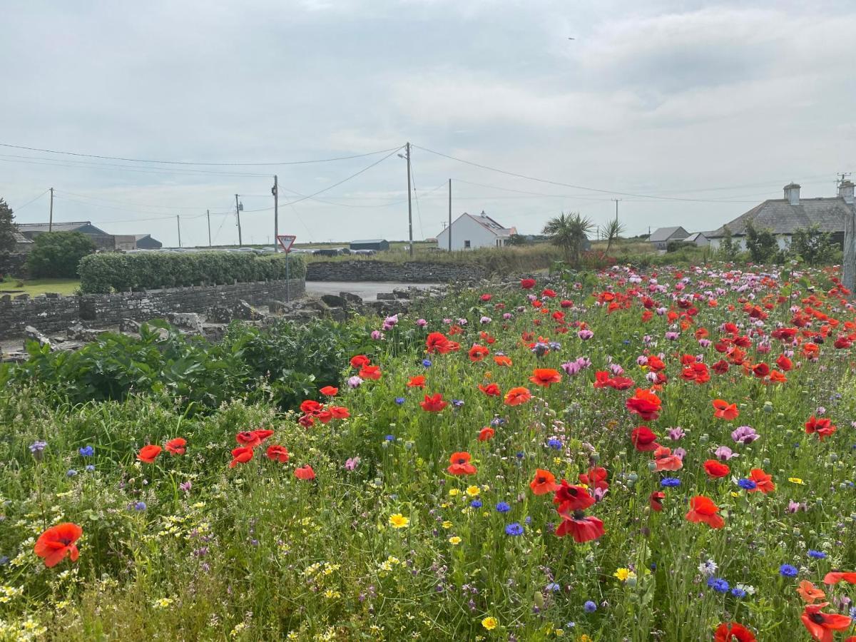 Clonmore Lodge B&B Quilty Buitenkant foto