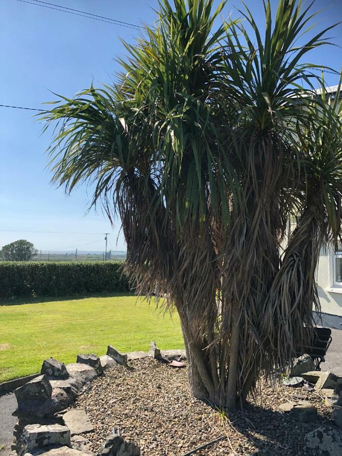 Clonmore Lodge B&B Quilty Buitenkant foto